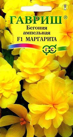 Бегония клубневая ампельная Маргарита F1 /Гавриш/
