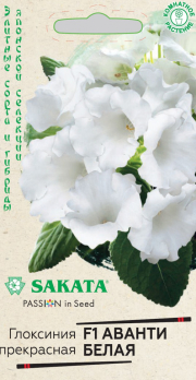 Глоксиния Аванти F1 белая (Япония, 5 шт) /Гавриш/ SAKATA