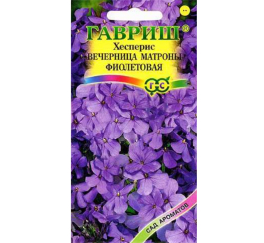 Вечерница Матроны фиолетовая (хесперис) /Гавриш/ Серия Сад ароматов