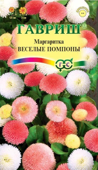 Маргаритка Веселые помпоны /Гавриш/
