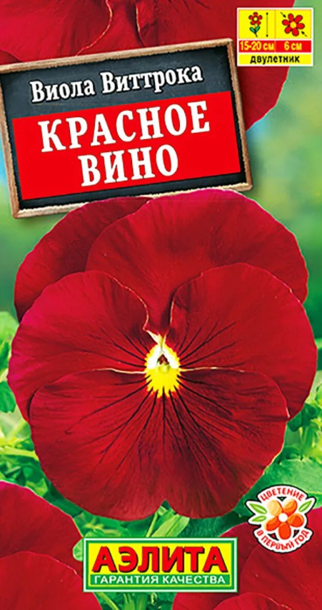 Виола Красное вино (Нидерланды) /Аэлита/