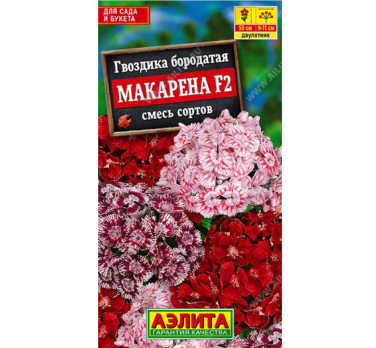 Гвоздика Турецкая Макарена F2, смесь окрасок (Нидерланды) /Аэлита/