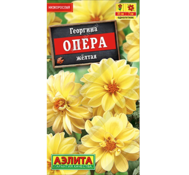 Георгина Опера желтая (Нидерланды) /Аэлита/