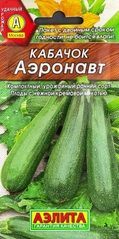 Кабачок Аэронавт (Италия) /Аэлита/