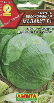Капуста белокочанная Малахит F1 (Италия) /Аэлита/
