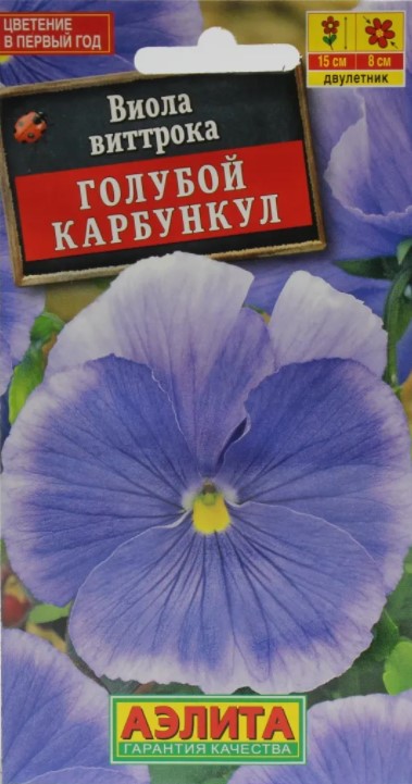 Виола голубой карбункул (Нидерланды) /Аэлита/