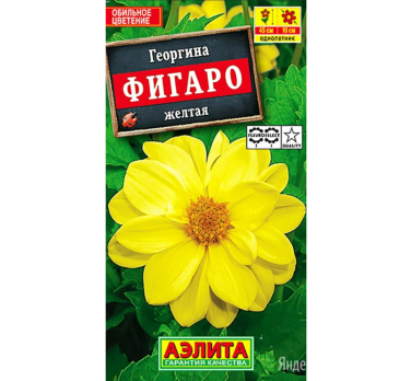 Георгина Фигаро махровая желтая (Нидерланды) /Аэлита/