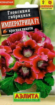 Глоксиния Императрица F1 красная пикоти (Нидерланды) /Аэлита/