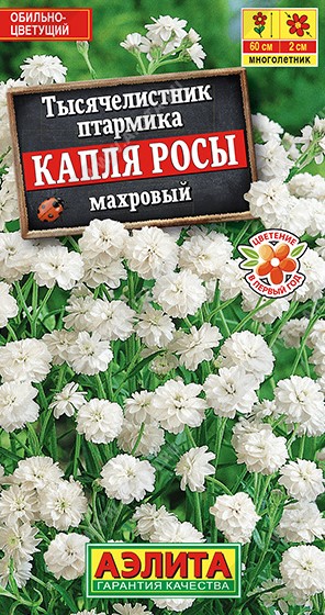Тысячелистник Капля росы махровый  (Нидерланды) /Аэлита/