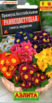 Примула Раннецветущая F1 смесь окрасок (Италия) /Аэлита/