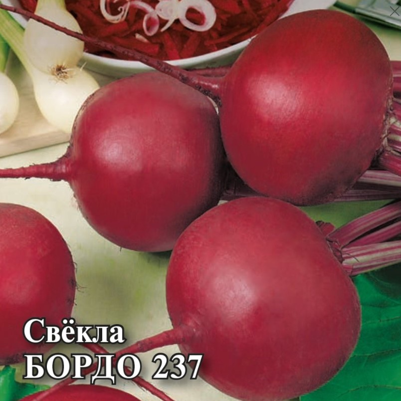 Свекла столовая Бордо 237 500 гр. /Седек/