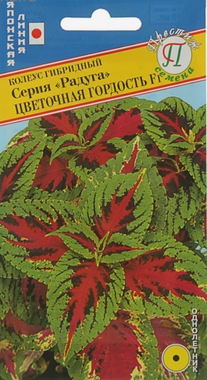 Колеус Радуга Цветочная гордость F1 (10шт, Япония) /Престиж/