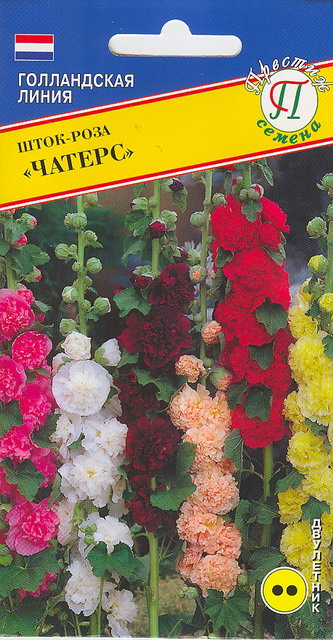 Шток-роза Чатерс Смесь двулетник (0,1гр, Голландия) /Престиж/
