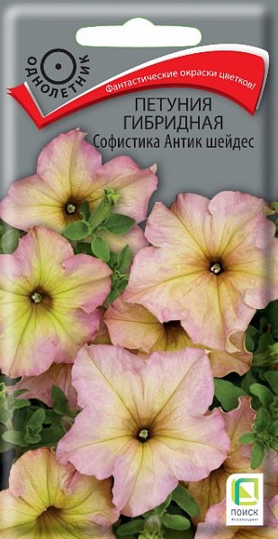 Петуния гибридная Софистика Антик шейдес (5 шт) /Поиск/