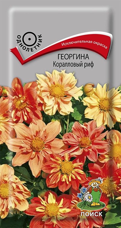 Георгина Коралловый риф (0,1 г) /Поиск/