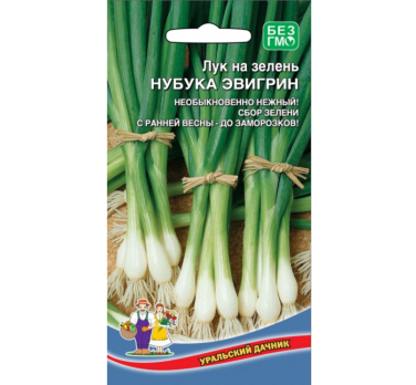 Лук на зелень Нубука Эвергрин /Уральский дачник/