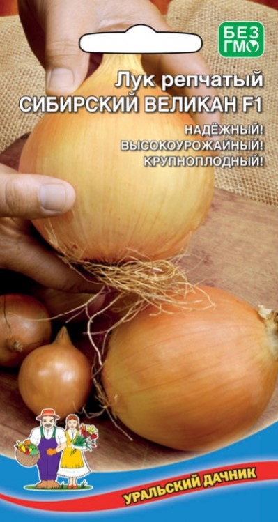 Лук репчатый Сибирский великан F1 /Уральский дачник/