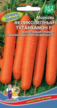 Морковь Великолепный Тутанхамон /Уральский дачник/
