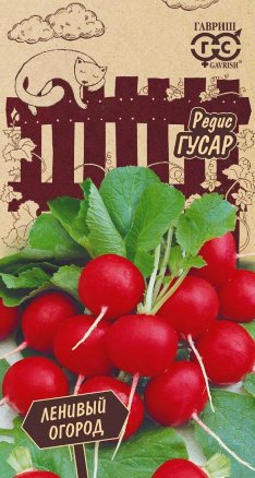 Редис Гусар /Гавриш/ Урожай на окне