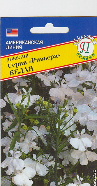 Лобелия Ривьера Белая /Престиж/