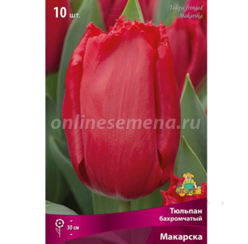 Тюльпан Бахромчатый Макарска 10 шт /Поиск/