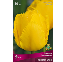 Тюльпан Бахромчатый Кристал Стар 10 шт /Поиск/