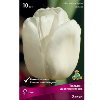 Тюльпан Дарвинов гибрид Хакун 10 шт /Поиск/
