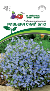 Лобелия каскадная Ривьера Скай Блю (10шт ампула) /Партнер/