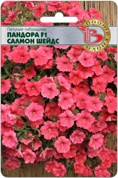Петуния каскадная Пандора Салмон Шейдс F1 /Биотехника/