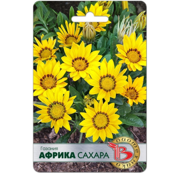 Газания Африка Сахара (7шт) /Биотехника