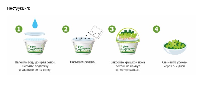 Набор для выращивания Моя микрозелень Рукола /Здоровья клад/