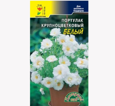 Портулак махровый крупноцветковый Белый /Цветущий сад/