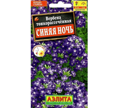 Вербена Синяя ночь /Аэлита/