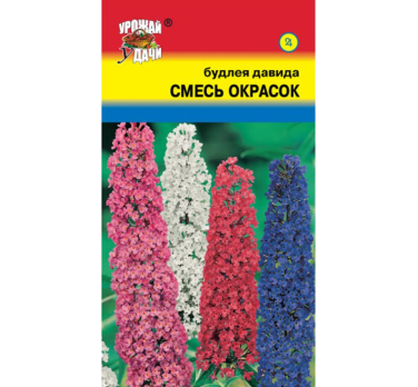 Буддлея Давида смесь окрасок /Урожай удачи/