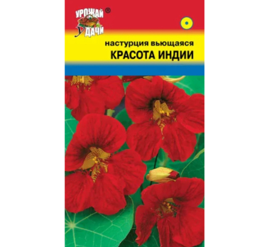 Настурция вьющаяся Красота Индии /Урожай удачи/