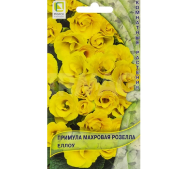 Примула махровая Розелла Еллоу (5 шт) /Поиск/