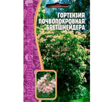 Гортензия почвопокровная Бретшнейдера 20 шт. /Григорьев/