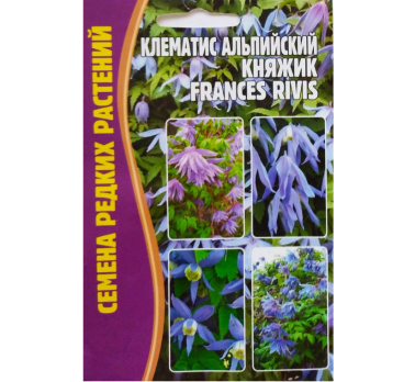Клематис альпийский Княжик 