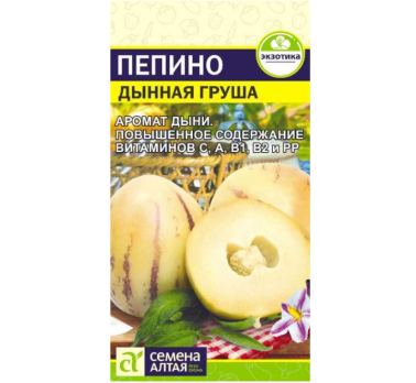 Экзотика Пепино (Дынная Груша) 5шт /Семена Алтая/