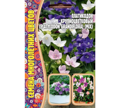 Платикодон крупноцветковый (Grandiflora) 25шт /Григорьев/