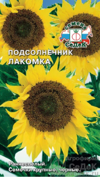 Подсолнечник Лакомка /Седек/