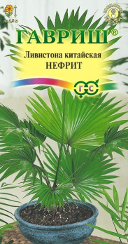 Ливистона китайская Нефрит /Гавриш/ СТАРАЯ