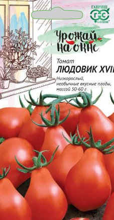 Томат Людовик XVII /Гавриш/ Урожай на окне