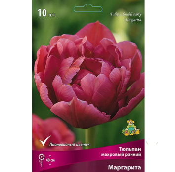 Тюльпан Махровый ранний Маргарита 10шт /Поиск/