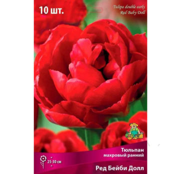 Тюльпан Махровый ранний Ред Бейби Долл 10шт /Поиск/