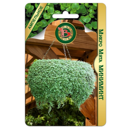 Микро Мята Миниминт /Биотехника/