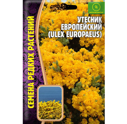 Утесник Европейский  30 шт. /Григорьев/