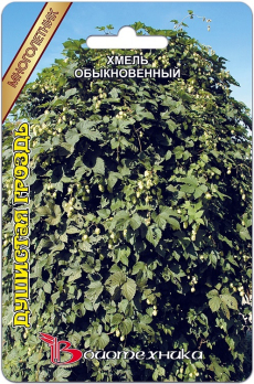 Хмель обыкновенный Душистая гроздь /Биотехника/