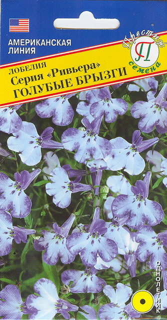 Лобелия Ривьера Голубые брызги /Престиж/