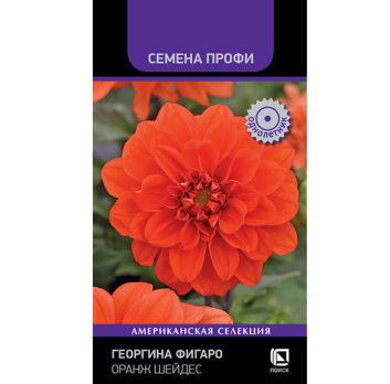 Георгина Фигаро Оранж Шейдес (10шт) /Поиск/